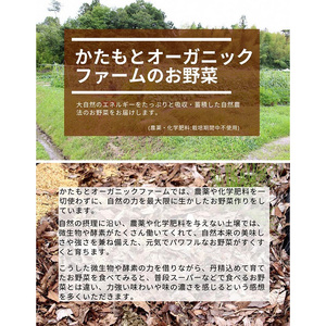 じゃがいも 6kg かたもとオーガニックファーム 野菜 京野菜