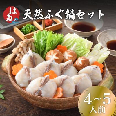 ふるさと納税 下関市 天然ふぐ鍋セット(4~5人前) 冷凍 ふぐちり鍋 海鮮鍋 ID008-1