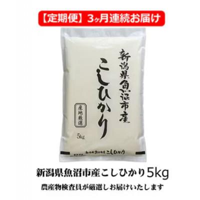 ふるさと納税 魚沼市 【毎月定期便】農産物検査員お奨め　魚沼産こしひかり(精米)5kg全3回