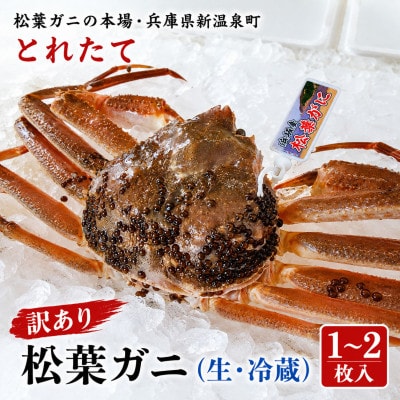 松葉ガニの本場・兵庫県新温泉町　とれたて　訳あり・松葉ガニ(生・冷蔵)　1～2枚入【配送不可地域：離島・北海道・沖縄県・東北】