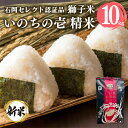 【ふるさと納税】 【令和6年産】【石岡セレクト認証品】獅子米 いのちの壱 精米 10kg コンテスト受賞米 お米 白米 米 おこめ 10キロ 国産 コメ こめ ご飯 茨城県産 茨城 産直 産地直送 農家直送 ごはん 家庭用 贈答用 お取り寄せ 茨城県 石岡市 送料無料 (G435)