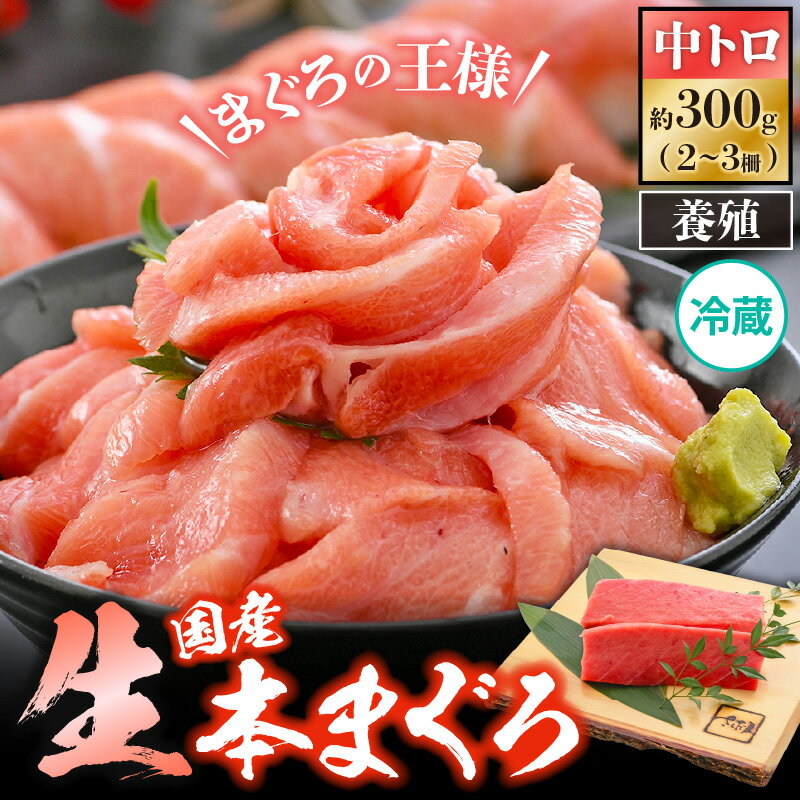 【ふるさと納税】国産 生本マグロ 中トロ 約300g（2〜3柵）まぐろの王様！！【本まぐろ 鮪 ホンマグロ まぐろ マグロ 中とろ 冷蔵 刺身 海鮮 鮮魚 お取り寄せ グルメ 贈答】 [e04-a081]