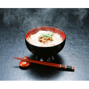 【国内産小麦使用】稲庭古来うどん　400g×2袋セット[L1402]