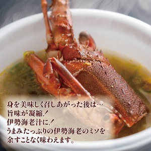 【伊勢海老】 1kg 3尾 ～ 6尾 冷凍 伊勢エビ 伊勢エビ 