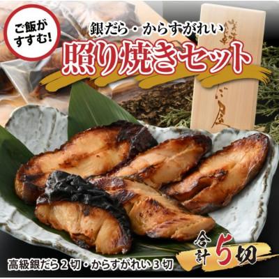 ふるさと納税 福井市 魚屋が作った 高級銀だら2切・からすがれい3切の照り焼きセット