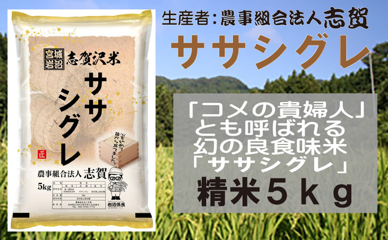 【令和7年産新米】宮城県岩沼市産　志賀沢米　ササシグレ　精米5kg お米 宮城県産 
