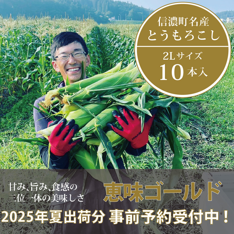 信濃町名産とうもろこし『落影農場の恵味（めぐみ） 10本セット』／スイートコーンの人気品種を早期予約限定で受付中！ 【2025年夏のご予約受付開始！】 令和7年7月下旬?出荷予定 2025年夏出荷分 先行予約【長野県信濃町ふるさと納税】