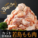 【ふるさと納税】【定期便・全3回】宮崎県産若鶏もも肉切身 計9kg(300g×10袋×3回) 20g～30gの食べやすいサイズ　使いやすい300gの小分け10袋を3ヶ月お届け！ 唐揚げや照り焼き、煮物、チキン南蛮など幅広い料理に！【スーパーほりぐち】【KU403】