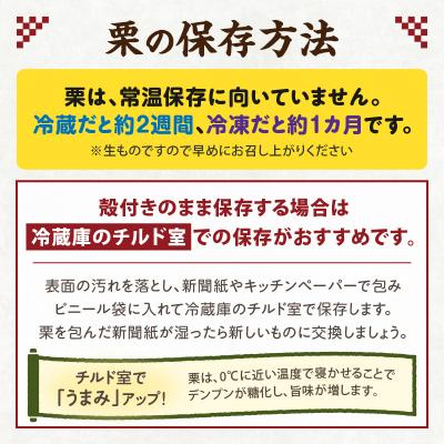 ふるさと納税 高千穂町 高千穂・ひのかげくり(9月限定) |  | 03