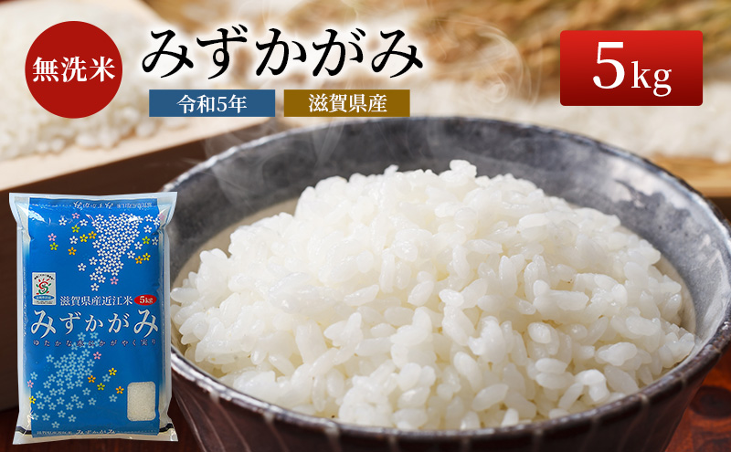 令和6年産新米ふるさと応援特別米みずかがみ（BG無洗米）5kg