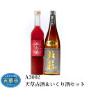 【ふるさと納税】米焼酎 いくり酒 各 720ml セット 25度 酒 天草古酒 貯蔵 ギフト アルコール 九州産 瓶