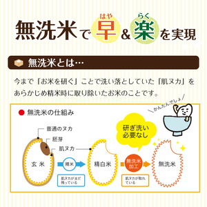 SE0402　令和7年産 【無洗米】 ひとめぼれ 10kg(5kg×2袋) 農家直送・鳥海山麓やわたの米 TR
