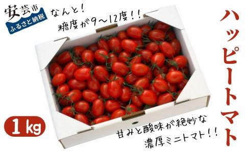 【先行受付開始】ハッピートマト1kg