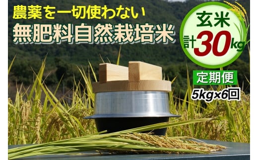 米 定期便 令和6年産 自然栽培米 にこまる ＜農薬を一切使わない無肥料栽培＞ 玄米 5kg×6ヶ月 30kg 《新米 京都丹波産 無農薬米栽培向き 厳選品種 6回お届け》 ※2024年10月中旬頃より順次発送予定