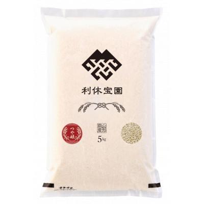 ふるさと納税 川西町 【発送月固定定期便】つや姫(玄米) 5kg 山形県産全6回