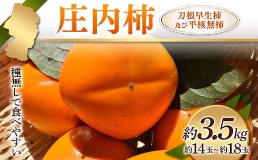 《先行予約 2025年度発送》庄内柿 種無しで食べやすい 刀根早生柿及び平核無柿 約3.5kg 約14～18玉  柿 かき デザート フルーツ 果物 くだもの 果実 食品 山形県 FSY-1236