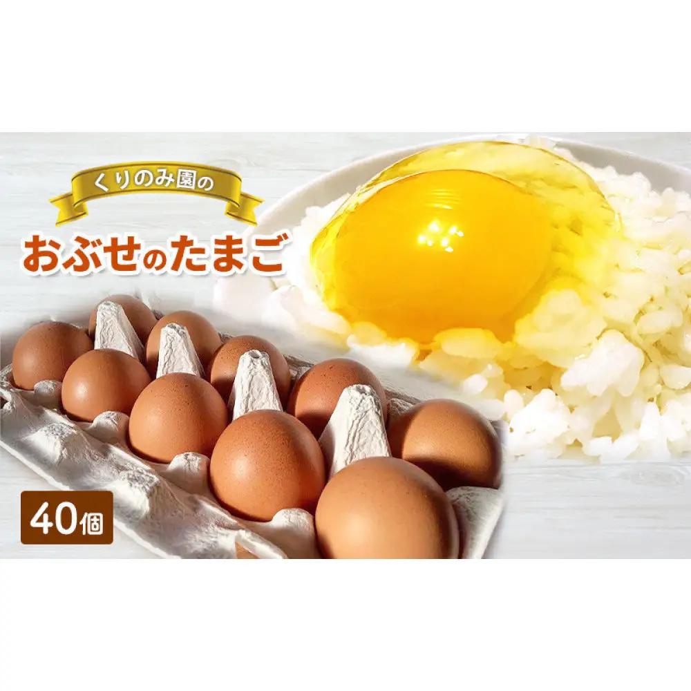 おぶせのたまご 40個 | たまご