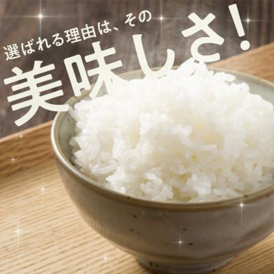 ふるさと納税 酒田市 令和7年産【精米】はえぬき 10kg(5kg×2袋) 白米 山形県庄内産 |  | 01