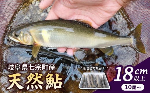 
                  岐阜県産 天然鮎 10尾以上 (18cm以上) 七宗町産 冷凍 鮎 あゆ アユ 直送 天然 魚 川魚
                