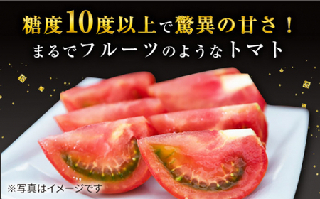【先行予約】高糖度 トマト ミスズプレミアム トマト 「ルージュ」 約1kg（9個） ＜株式会社ミスズアグリ西海＞ [CFN001] トマト ﾄﾏﾄ とまと フルーツトマト ﾄﾏﾄ こだわりトマト ﾄ