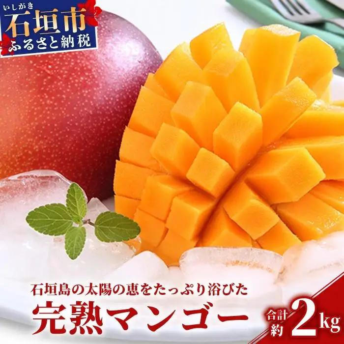 石垣島 マンゴー 約2kg