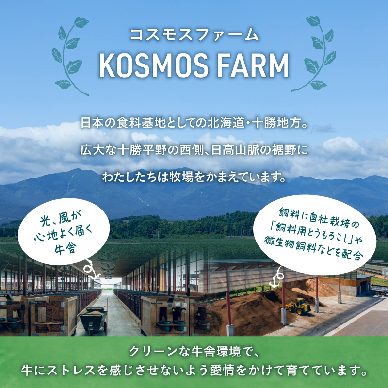 十勝清水 コスモスファーム 幸せ カレー 200g × 6食 【 ビーフカレー 国産 中辛 カレー レトルト 簡単調理 牛肉 常温 保存食 備蓄 手軽 贈り物 お取り寄せ 北海道 清水町  】