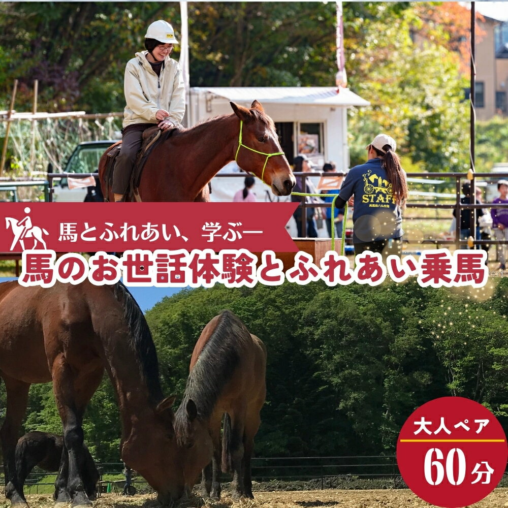 【ふるさと納税】馬のお世話体験とふれあい乗馬【 大人ペア 】 体験 馬 乗馬