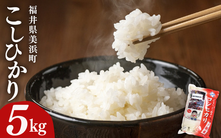 【先行予約】【令和7年産・新米】米 コシヒカリ 5kg × 1袋 精米 福井県美浜町産【2025年9月下旬発送予定】 新米 こしひかり コシヒカリ 白米 精米 お米 [m60-a017_09]