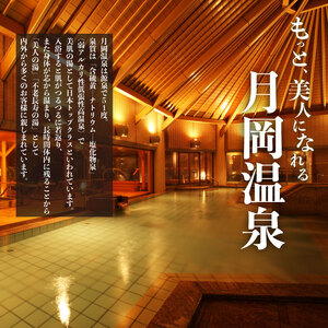 月岡温泉旅館 感謝券 (計30,000円分) 【温泉 旅館 感謝券】 新潟県 新発田市 A01_10