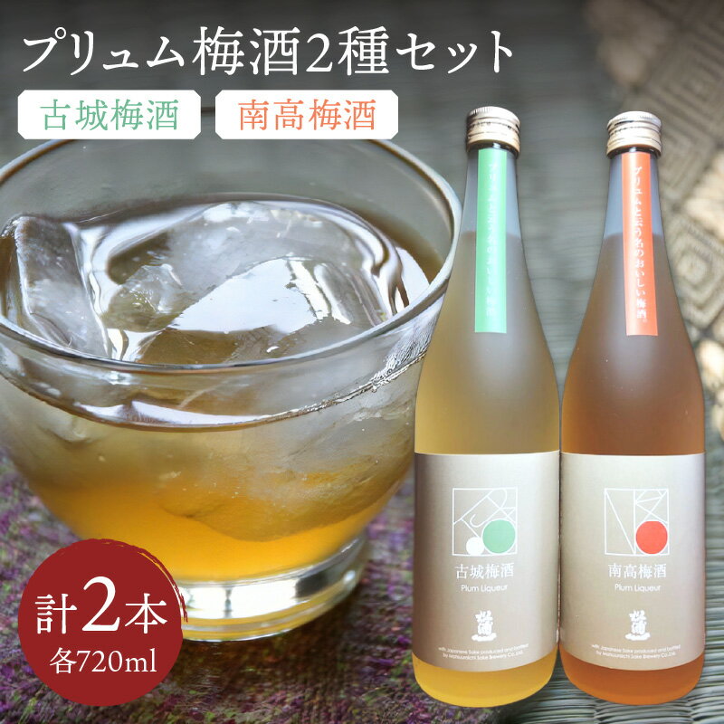 【ふるさと納税】松浦一 プリュム 南高梅酒 古城梅酒 四合瓶2本セット 039-D273