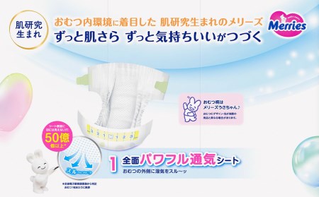 ［全2回定期便］ メリーズ ずっと肌さらエアスルー 【テープタイプ】　Sサイズ（62枚入り）×4パック ｜オムツ  紙おむつ ベビー用品