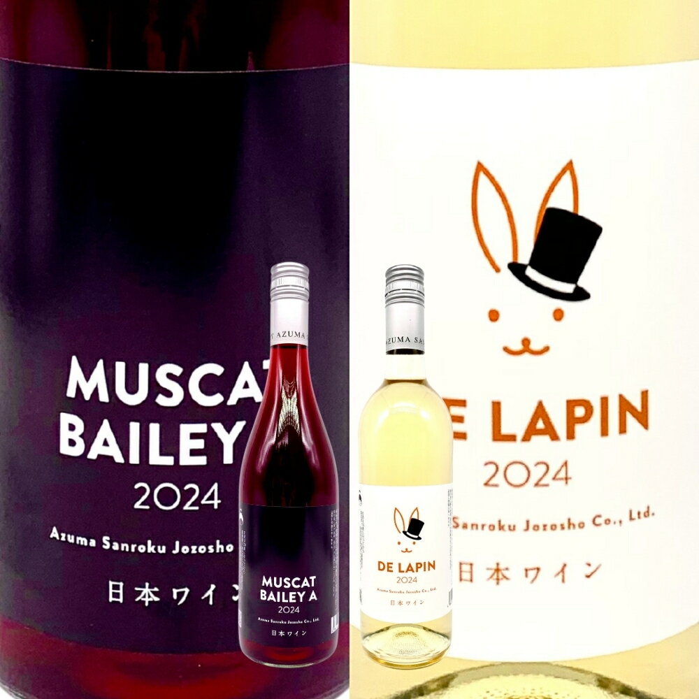 【ふるさと納税】No.3271 ワイナリー吾妻山麓 赤・オレンジワインの2本セット