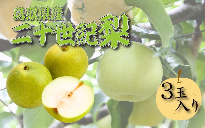 
            【先行予約】中野農園 梨 ”二十世紀梨” 3玉入り｜鳥取 岩美 梨 なし ナシ  青梨 果物 フルーツ【41024】
          