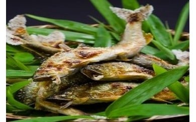 
            [4502]鮎懐石（ご来店２名様分）
          