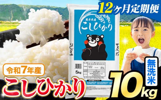 【12ヶ月定期便】令和7年産  無洗米 こしひかり 10kg(5kg×2袋)《お申込みの翌月出荷》熊本県産 ふるさと納税 無洗米 精米 ひの 米 こめ ふるさとのうぜい コシヒカリ コメ お米 おこめ