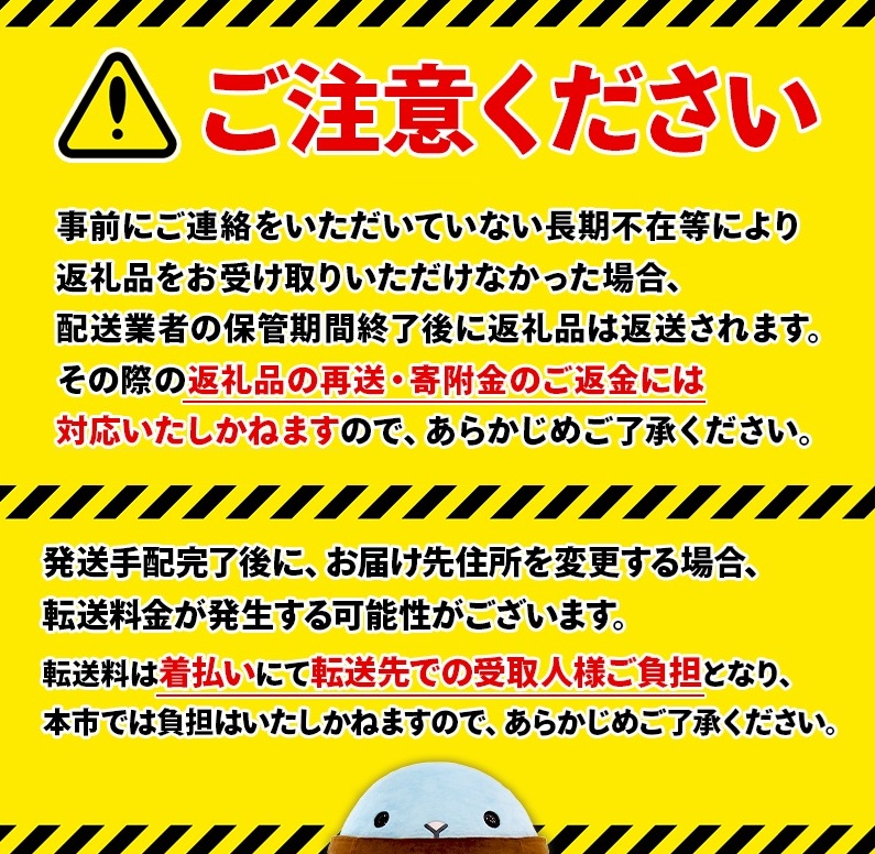 【3回定期】財寶温泉強炭酸水 500ml×48本