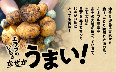 erabu chips 食べ比べ 3箱（ 3種×各1箱 ） セット C068-004-03 ポテトチップス 菓子 お菓子 アレルゲンフリー