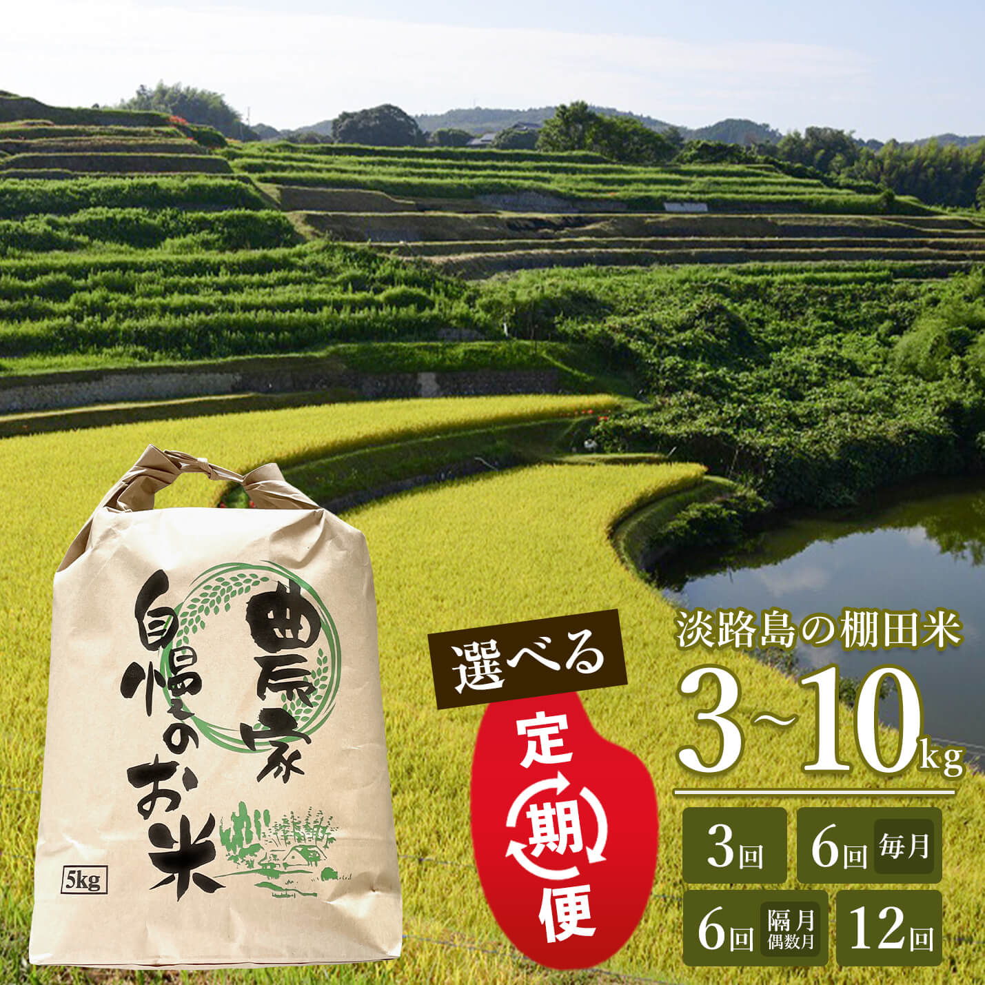 【ふるさと納税】【定期便】淡路島の棚田米　3～10kg × 3回・6回・12回・隔月6回