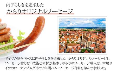 内子からり直送！ドイツ仕込みの「内子豚ソーセージ5種セット」【ソーセージ 愛媛 BBQ 人気ソーセージ 美味しい ソーセージ 愛媛県 ソーセージ 肉汁 豚肉ソーセージ アウトドアソーセージ 大人気ソー
