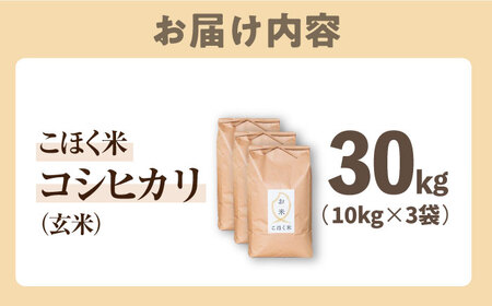 【食味最高ランク特A 2年連続受賞】【減農薬米】滋賀県湖北産 湖北のコシヒカリ 玄米30kg　滋賀県長浜市/株式会社エース物産[AQAK007]