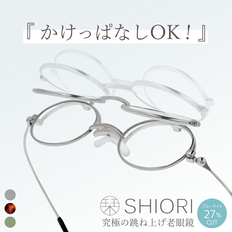 【ふるさと納税】【メガネの町鯖江デザイン】持ち運びに便利な薄型老眼鏡 SI-13 シルバー/ブラウンデミ/アップルグリーンマット[C-09407]/眼鏡 老眼鏡 めがね メガネ リーディンググラス ブルーライトカット 紫外線カット UVカット ＋1.50 ＋2.00 ＋2.50 ＋3.00 福井県鯖江市