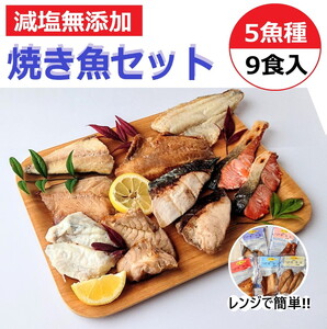 【発送時期が選べる】レンジで簡単　焼き魚セット｜焼魚 海鮮 海鮮 海鮮 鮭 さけ サーモン 鮭 サーモン セット 石川県 七尾市 能登