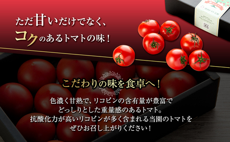 トマト フルーツトマトルージュフルーツトマト 2kg 糖度8度以上 産地直送 厳選 樹上甘熟 長野県産 野菜 甘い コク 酸味  爽やか ビタミン ミネラル 栄養 リコピン 抗酸化力 美容 健康