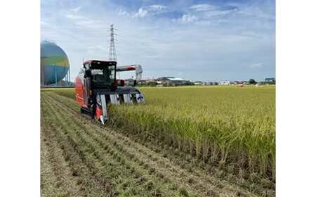 【令和7年産】有機肥料 100％ 埼玉県幸手市産特別栽培コシヒカリ 精米 5kg - 2025年10月1週目より順次発送 新米発送 コシヒカリ こしひかり 米 精米 5kg 有機肥料 特別栽培米 幸手