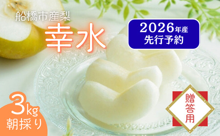 【2026年産先行予約】＜贈答用＞ 果汁たっぷりの極上梨「幸水・3kg」6～9玉 千葉県 船橋市産