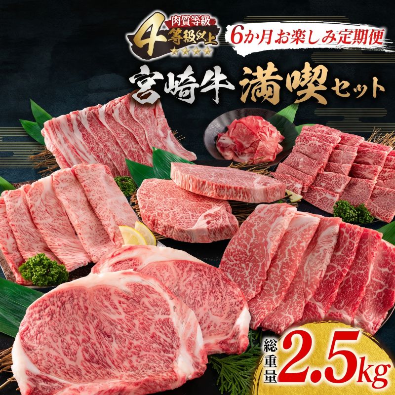 【ふるさと納税】6か月 お楽しみ 定期便 宮崎牛 満喫 セット 総重量2.5kg 黒毛和牛 ブランド牛 牛肉 国産 ビーフ 食品 焼肉 ステーキ スライス 小間切れ しゃぶしゃぶ すき焼き ミヤチク お取り寄せ グルメ ご褒美 記念日 お祝 宮崎県 日南市 送料無料