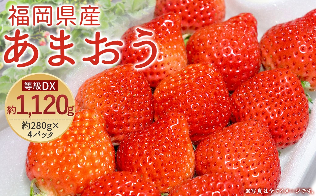 あまおう 等級DX 約1,120g 約280g×4 いちご 苺 果物 フルーツ