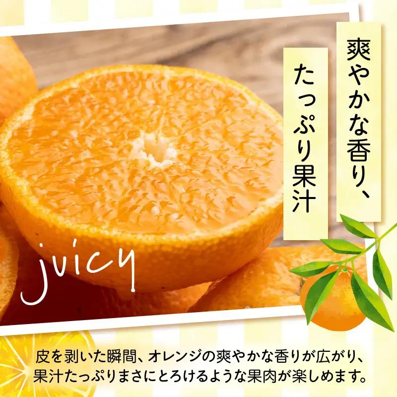【2027年先行予約】和歌山県有田産 完熟 清見オレンジ 5kg ひとつひとつ丁寧に厳選！生産者から直送【清見 みかん オレンジ タンゴール きよみ 柑橘 和歌山 有田】_ZN6001n