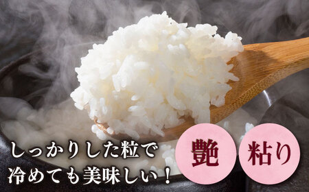 【令和6年産】果物屋さんが選んだ米 元気つくし 5kg 《築上町》【南国フルーツ株式会社】米 白米 お米 ブランド米[ABET010]