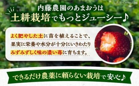 【先行予約】【2月-3月発送】農家直送 あまおう 1080g （270g以上 × 4 パック） 土耕栽培《豊前市》【内藤農園】果物 いちご [VAB002]